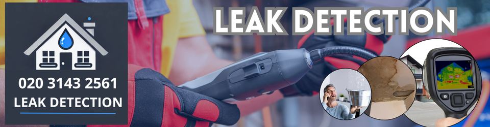 Purley Leak Detection