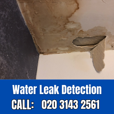 Expert Water Leak Detection Services in Purley | Purley Leak Detection